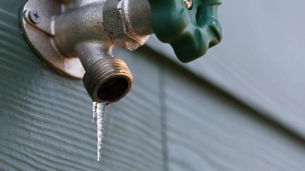 Best Shower Repair Services  in Pirtleville, AZ