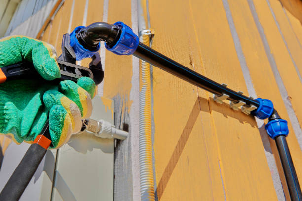 Best Water Leak Repair  in Pirtleville, AZ